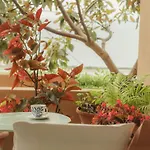 Villa Nona Maria Minia