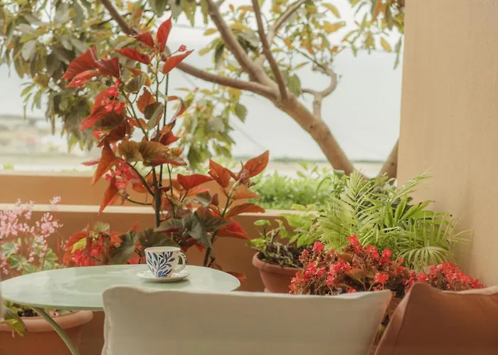 فيلة Nona Maria Minia