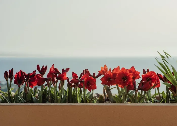 Nona Maria Villa Miniá